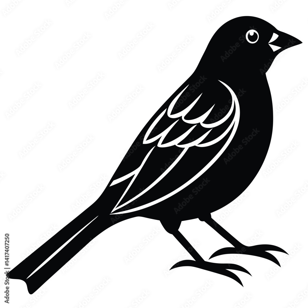 Obraz premium weaver birds vector sihouette