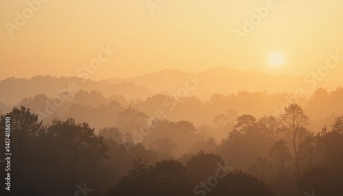Wallpaper Mural Serene sunrise over misty forest landscape nature photography tranquil environment soft light viewpoint peaceful concept for visual escape Torontodigital.ca