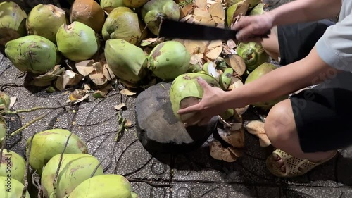Coconut Cutting with a Traditional Knife. A man uses a special coconut knife to cut fresh coconuts against a mountain of ripe coconuts. Detailed process: stabbing and splitting a coconut. Thailand