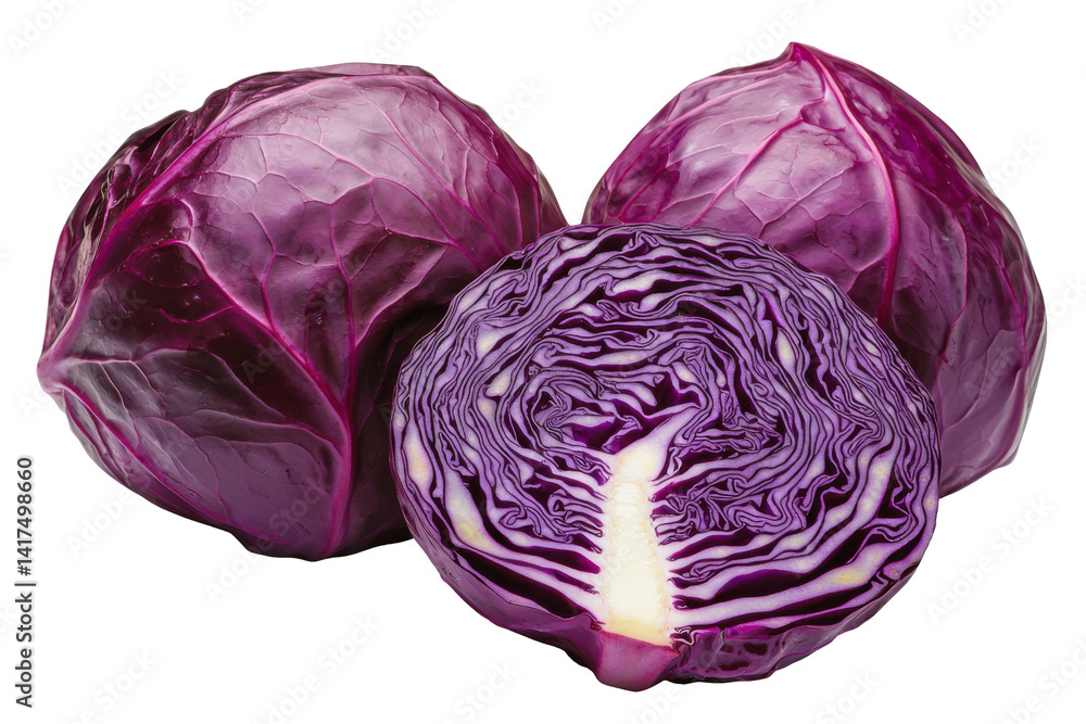 Fototapeta premium Red cabbage harvest isolated on PNG transparent background, cut out