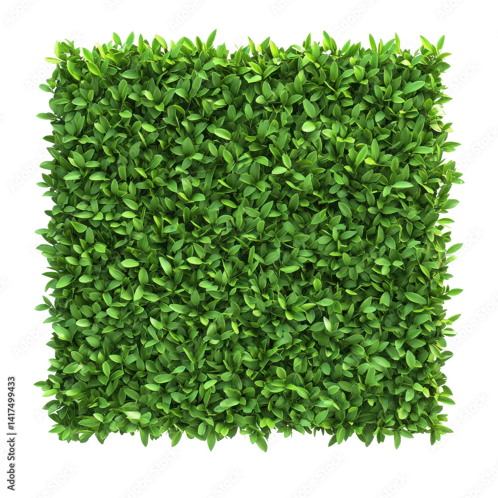 Fototapeta premium A close up shot of a square green artificial hedge panel with small leaves filling the entire frame