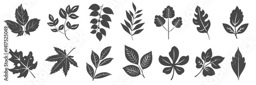 Black fill leaves or leaf hand draw simple element outline bold and easy icon set illustration SVG. flat art design isolate transparent background minimal.
