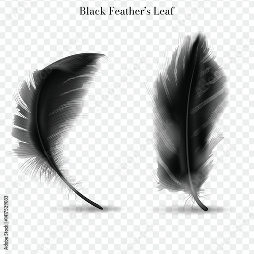 Black feather on white