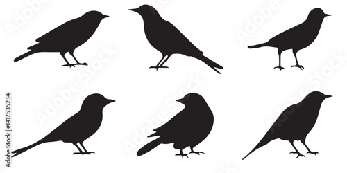 Bird Silhouette Icons Pack – Black Flying and Perching Bird Vector Clipart