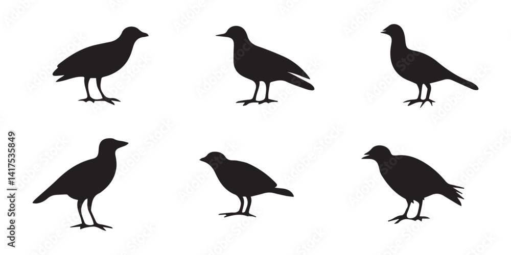 Fototapeta premium Bird Silhouette Icons Pack – Black Flying and Perching Bird Vector Clipart