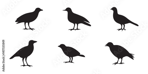 Bird Silhouette Icons Pack – Black Flying and Perching Bird Vector Clipart