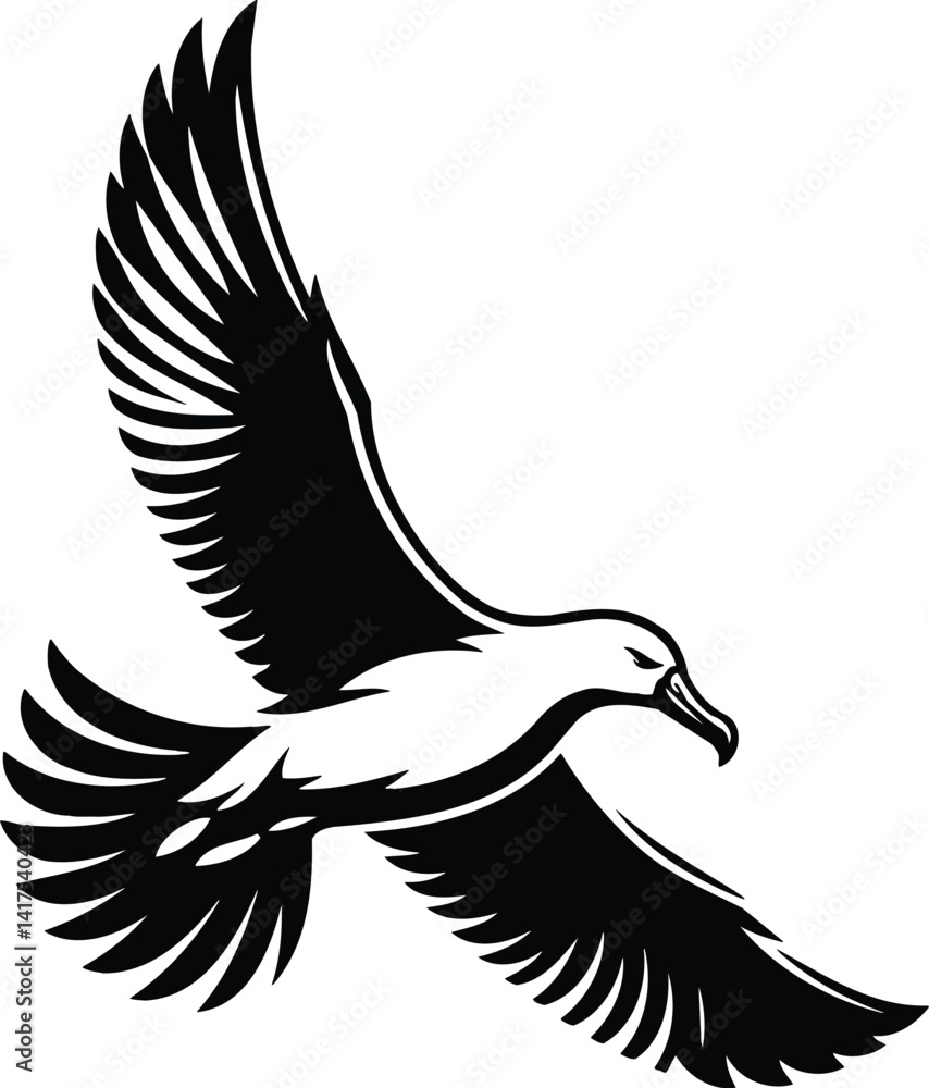 Obraz premium Albatross Soaring Gracefully in Dynamic Flight Silhouette