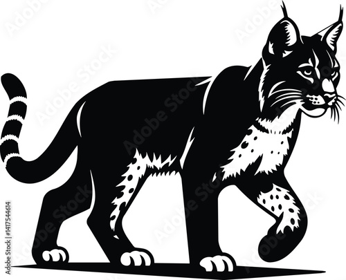 Bobcat Prowling Silhouette with Alert Ears and Raised Tail
