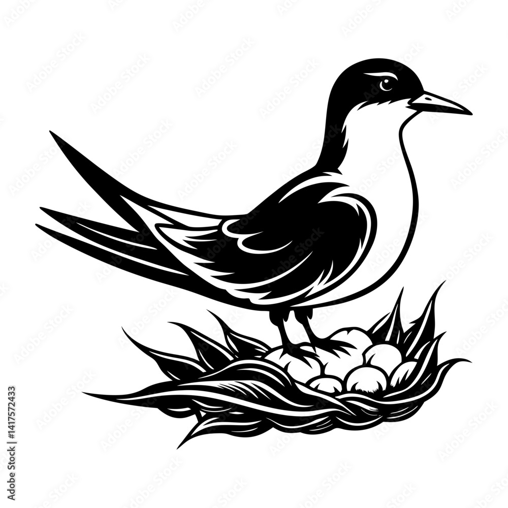 Obraz premium Download Common Tern With Nest Silhouette Vector Art And Illustration Eps File For Design.