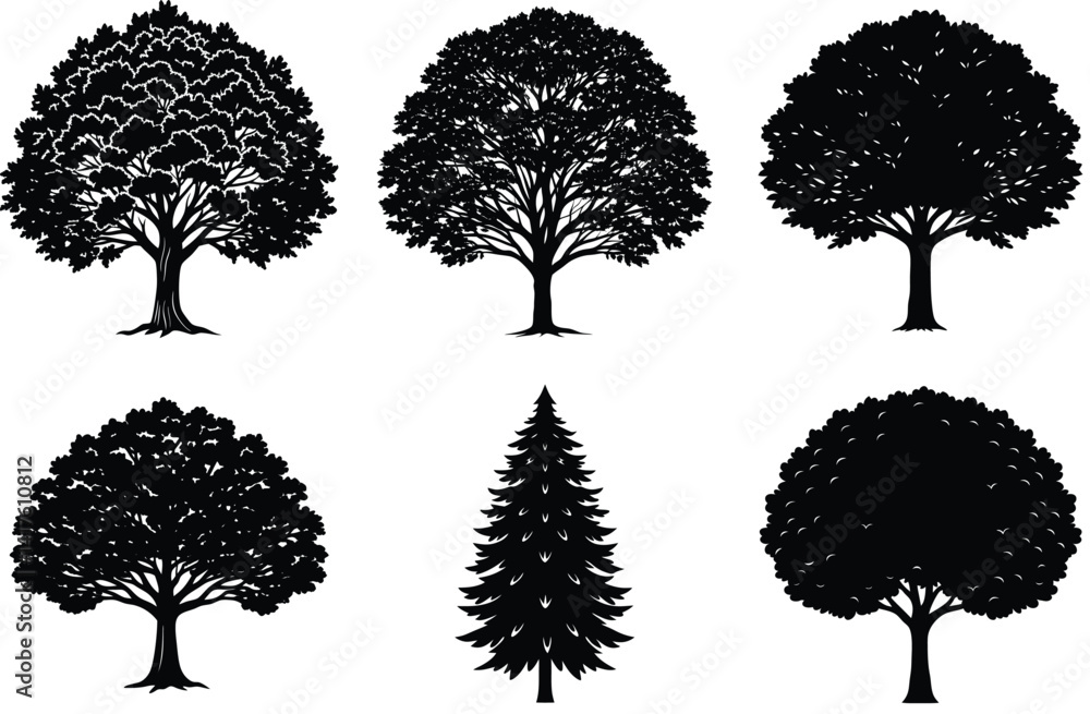 Fototapeta premium A vector set of black tree silhouettes illustrates diverse nature, including pine and oak, as a design collection