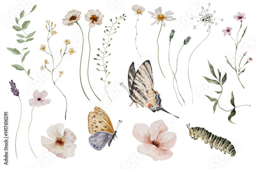 Set of watercolor elements with meadow flowers and butterflies
