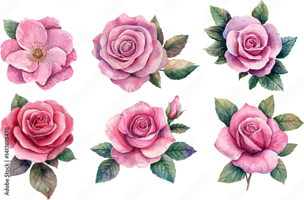 Naklejka premium set of roses vector illustration