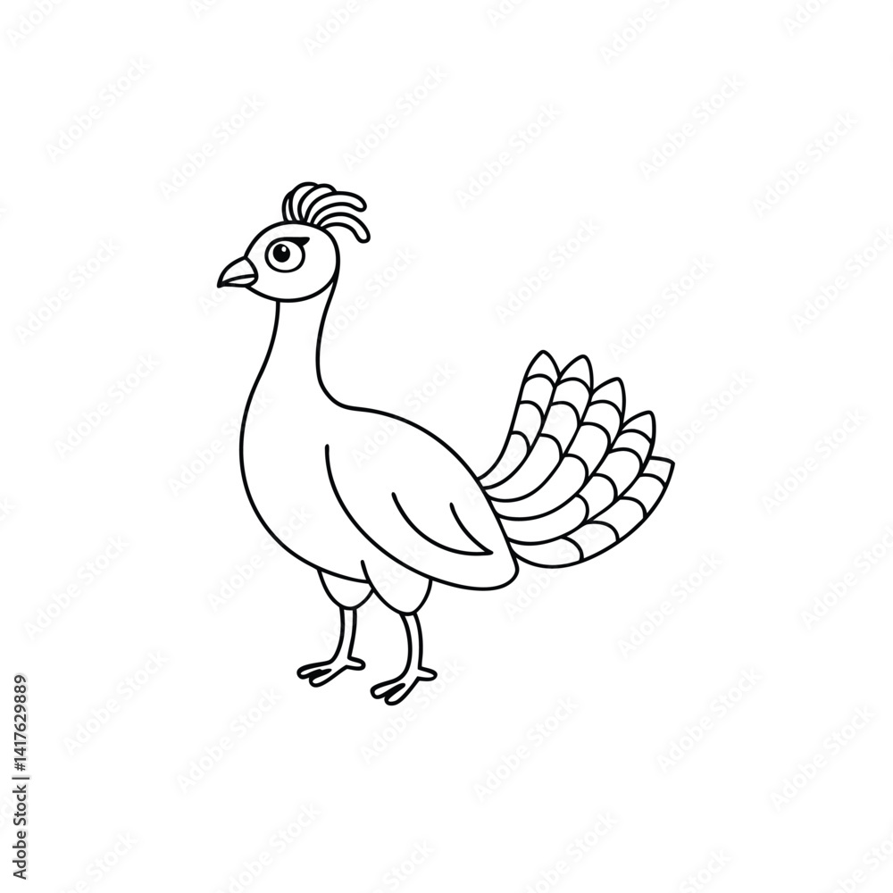 Fototapeta premium A line art peacock On a black and white, bird vector illustration