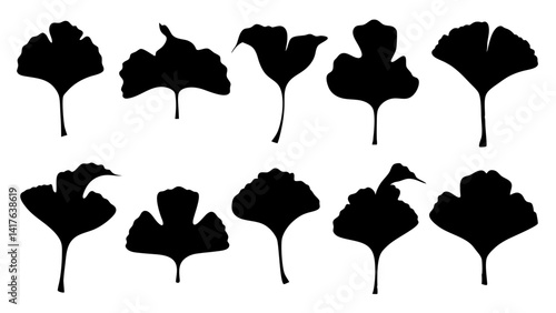set of ginkgo leaf silhouette vector on white background