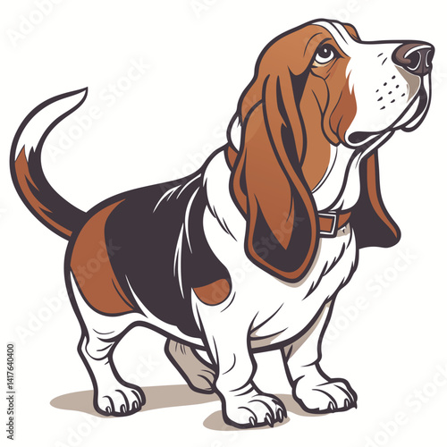 Basset hound dog full body a detailed realistic colorful vector illustration on a white background