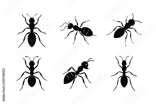 Ant silhouette Silhouette vector bundle illustration, Set of Ant silhouette Silhouette 