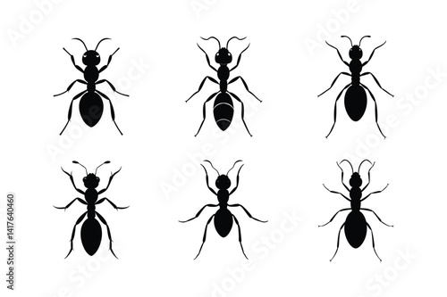 Ant silhouette Silhouette vector bundle illustration, Set of Ant silhouette Silhouette 