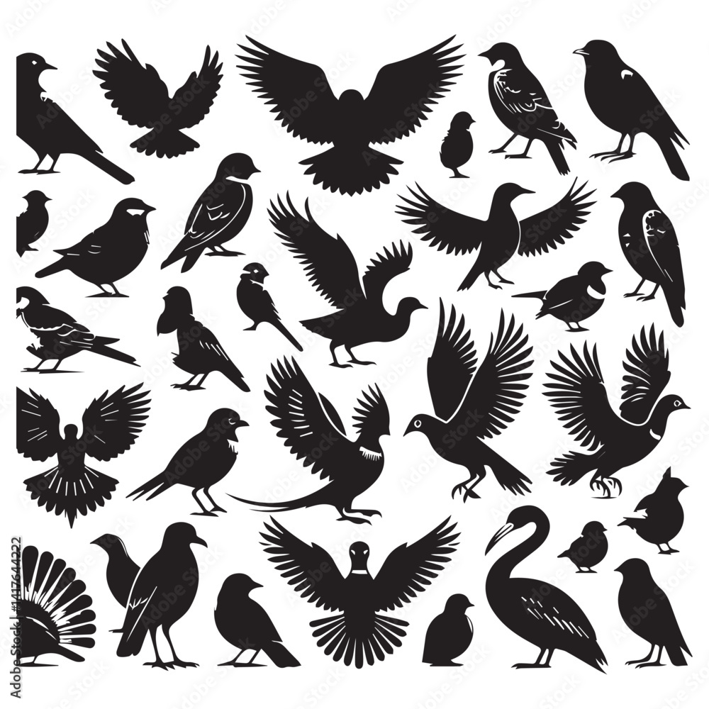 Obraz premium Set of black bird silhouettes. Sparrow, Eagle, Robin, Hawk, Owl, Duck, Swan, Pigeon, Parrot, Crow, Seagull, Falcon, Hummingbird, Peacock, Canary, Pelican, silhouettes white background