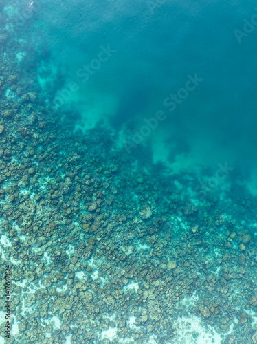 Obraz na płótnie Aerial view of a coral reef fringing deeper blue waters in a tropical sea. The image highlights the natural gradient from shallow reef to open ocean. w salonie