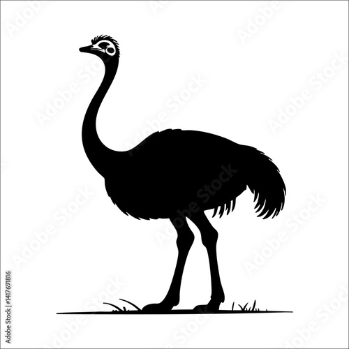 ostrich silhouette vector