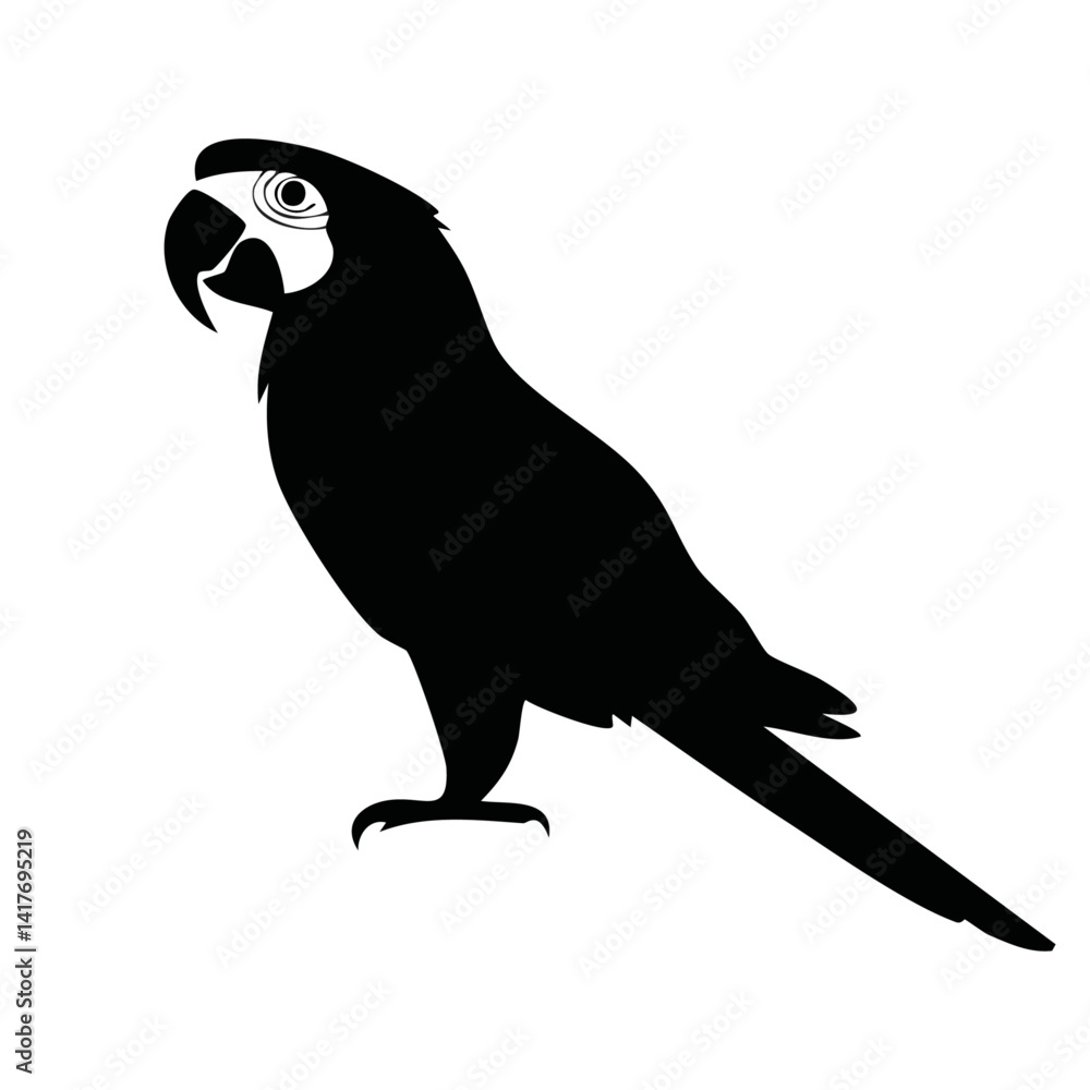 black and white parrot silhouette vector graphic design