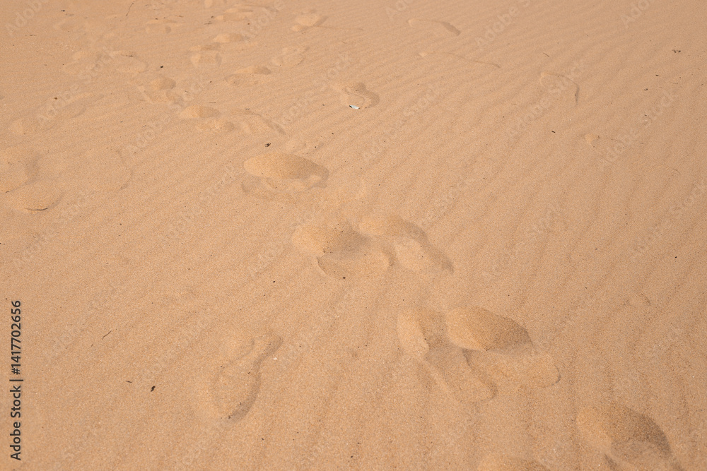 human footprints on loose yellow sand. Travel and tourism human footprints on loose yellow sand. Travel and tourism
