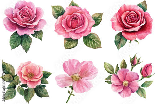 Wallpaper Mural set of roses vector illustration Torontodigital.ca