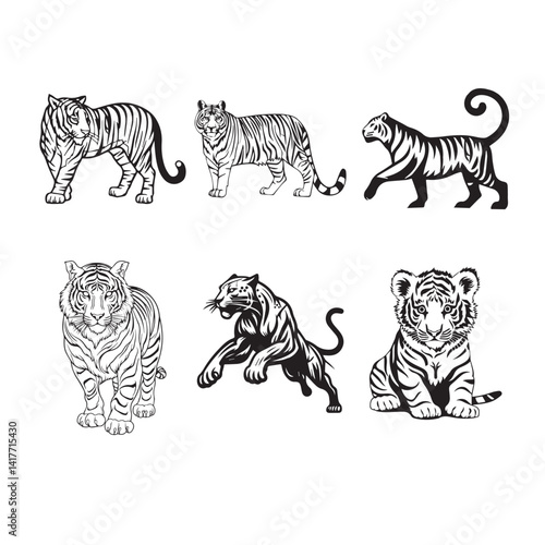 Set illustration of a tiger on a white background, vintage engrave isolated tiger set illustration. 
