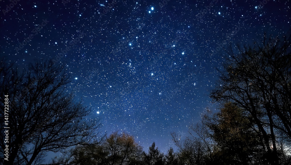 Scenic view stars shine in the dark night sky above silhouettes of treetops Scenic view stars shine in the dark night sky above silhouettes of treetops