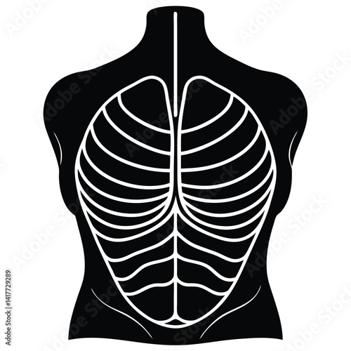 inner part of human body silhouette design on white background 