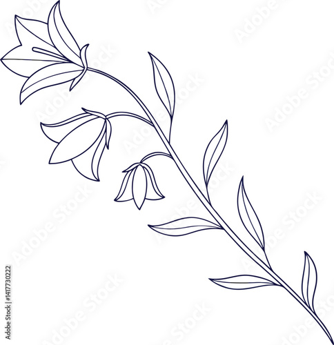 Delicate Bluebell Flower Outline Illustration Elegant Floral Vector Design Simple Line Art
