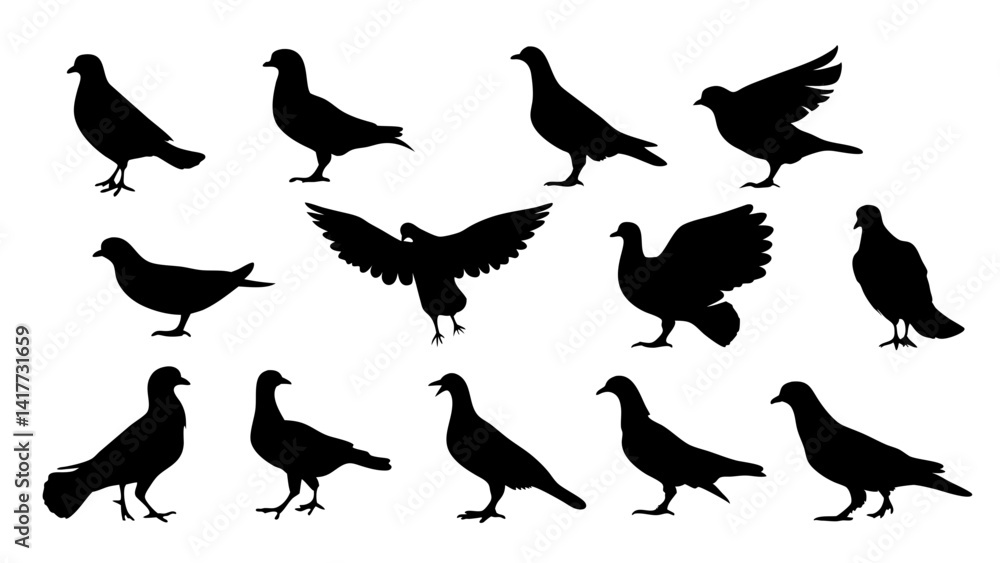 Fototapeta premium set of dove silhouette vector on white background