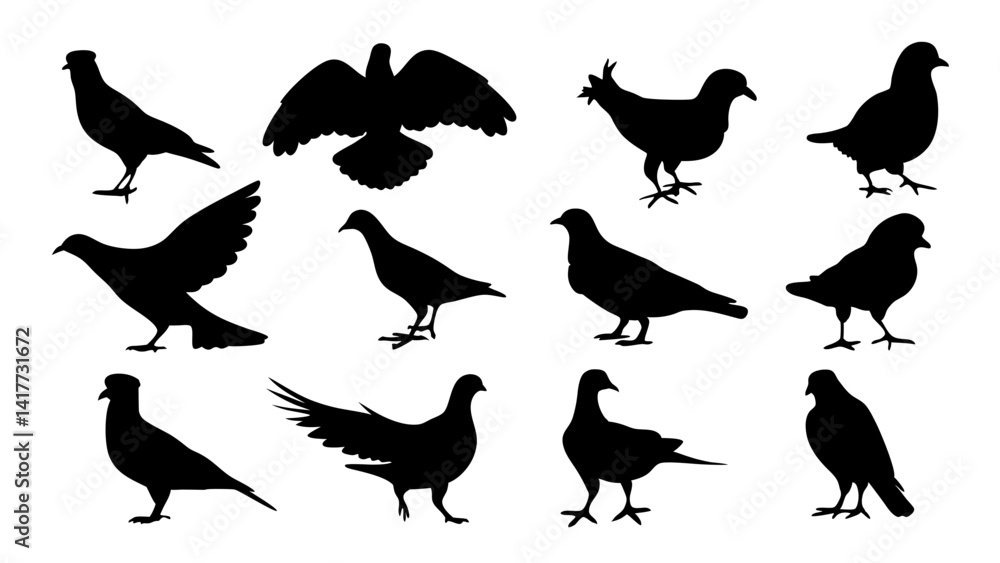 set of dove silhouette vector on white background set of dove silhouette vector on white background