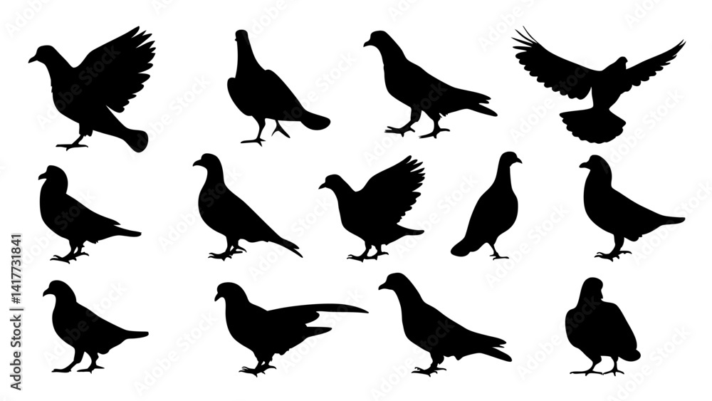 Fototapeta premium set of dove silhouette vector on white background