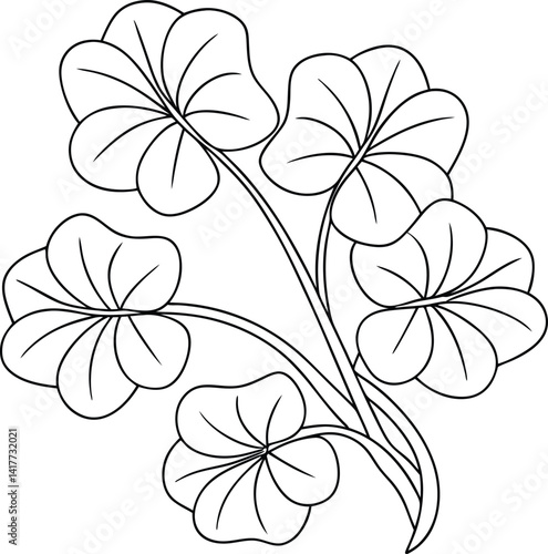 Black Outline Drawing Of Shamrock Leaves Isolated On White Background Design Element