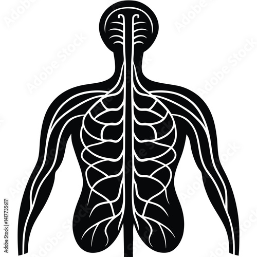 inner part of human body silhouette design on white background 