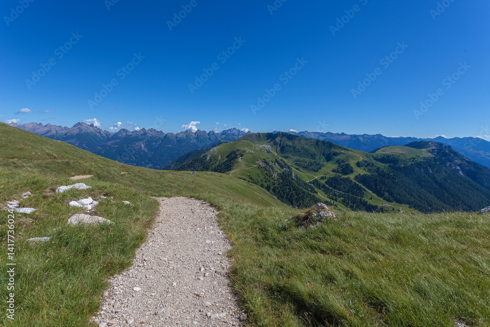 Fototapeta premium Path in the middle of meadows in the southern side of the Latemar Massif. Cima d'Asta Peak and Lagorai mountain range in the background. UNESCO world heritage site, Trentino-Alto Adige, Italy, Europe