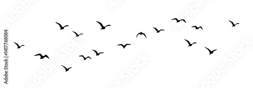 Black vector flying birds flock silhouettes, birds in flight, group of birds flying