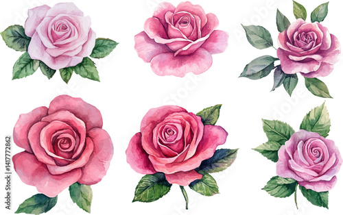 watercolor set of pink roses flowers
