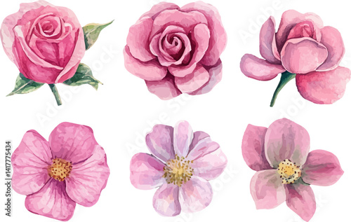 watercolor set of pink roses flowers
