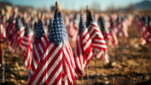 American Flags: A field of American flags waving in the wind, symbolizing freedom, patriotism, and national pride.  A symbolic and patriotic scene.