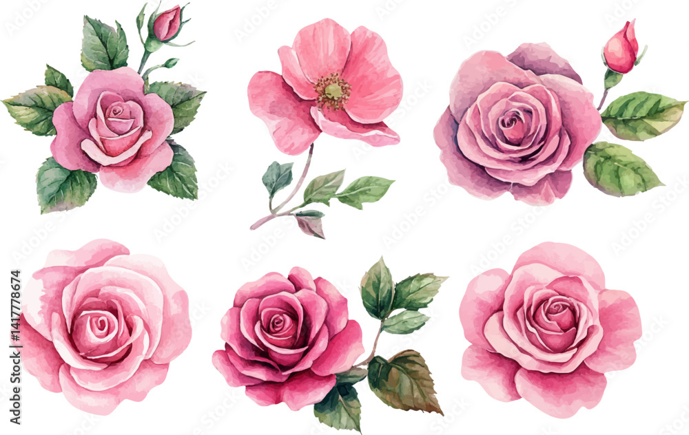 set of pink roses vector set of pink roses vector