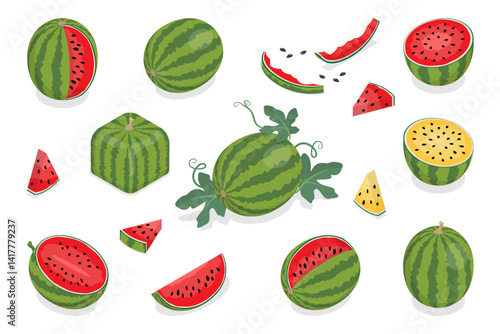 Collection of red and yellow watermelons. Flat isometric vector set of ripe fruit pieces, halved and triangular slices, whole watermelons. Fresh green organic fruit. Healthy vegan food.