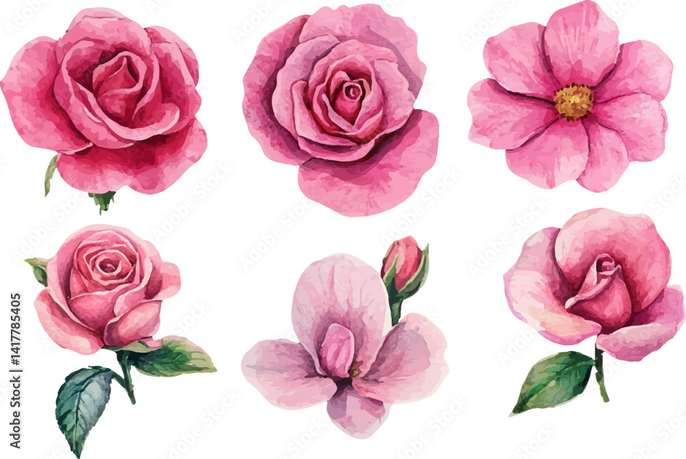 Naklejka premium set of pink roses isolated