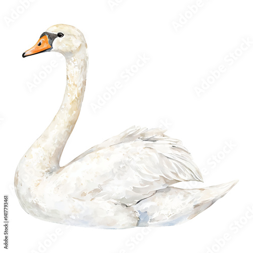 Graceful White Swan Bird Isolated Hand Drawn Watercolor Painting Illustration Artwork Image
