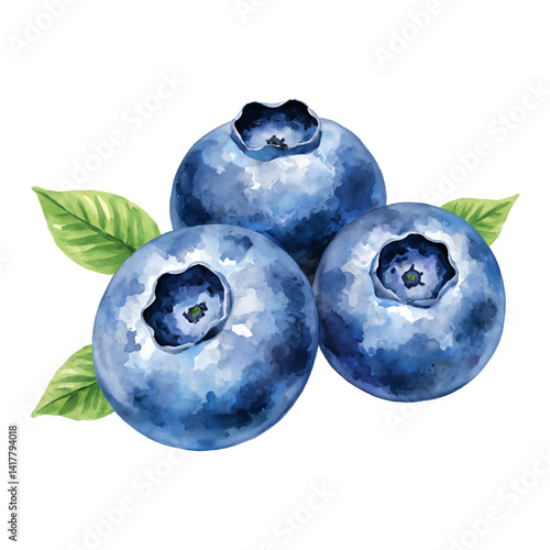 Delicious Three Blueberries with Leaves Isolated Hand Drawn Watercolor Painting Illustration