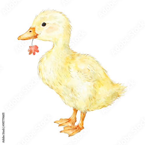 Cute Duckling Holding Flower in Beak Side View Isolated Hand Drawn Watercolor Painting Illustration