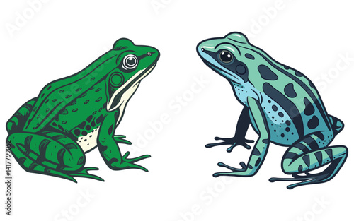 Color Frog  with white background eps 10 vector