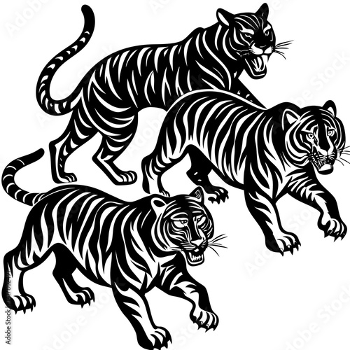 tiger vector illustration
