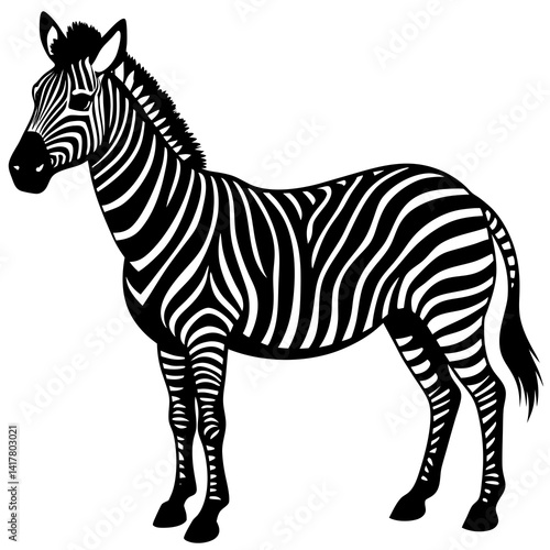 zebra vector illustration